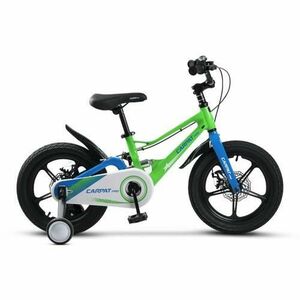 Bicicleta Copii 4-6 ani Carpat PRO C16144B, roti 16inch, Verde/Albastru imagine