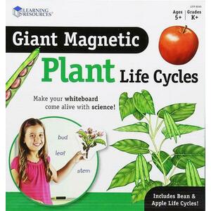 Ciclul vietii plantei - set magnetic imagine