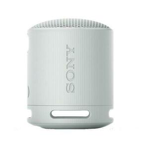 Boxa Portabila Wireless Sony SRS-XB100H, Bluetooth v5.3, Fast-Pair, IP67, Autonomie 16 ore, USB Type-C (Gri) imagine