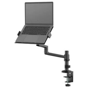 Suport laptop petru birou Neomounts DS20-425BL1, 11.6inch-17.3inch, 5 kg, VESA 75x75, 100x100 (Negru) imagine