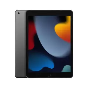 Tableta Apple iPad 10.2 (2021) 64GB Flash 3GB RAM Wi-Fi Space Grey + Adaptor US-EU imagine