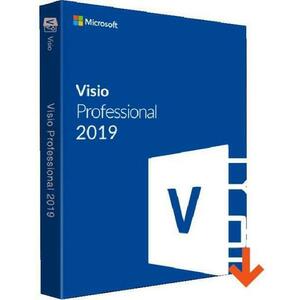 Microsoft Visio Professional 2019, 32/64 bit, Multi Language, Electronica imagine