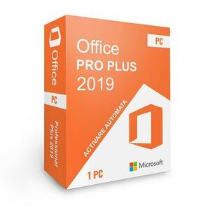 Licenta Electronica Microsoft Office 2019 Professional Plus Retail ESD, activare online imagine