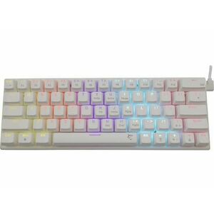 Tastatura Gaming Mecanica White Shark GK-002221 Wakizashi, iluminare RGB, Layout International, USB-C/USB 2.0 (Alb) imagine