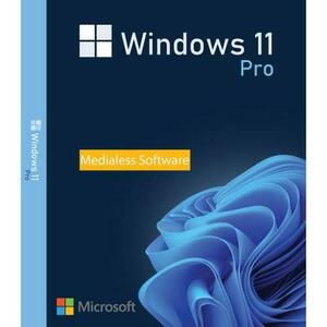 Microsoft Windows 11 Pro, 64 bit, Multilanguage, Retail, Medialess imagine