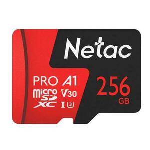 Card de memorie Netac P500 Extreme Pro, MicroSDXC, 256GB, V30/A1/C10, 100 MB/s + Adaptor SD imagine