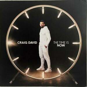 Craig David - Time is Now (2 LP) imagine