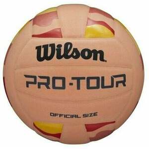 Wilson Pro Tour Volei de interior imagine