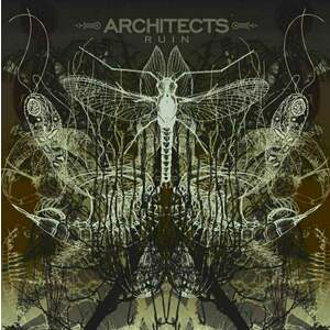 Architects - Ruin (LP) imagine