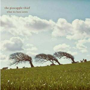 The Pineapple Thief - What We Have Sown (2 LP) imagine