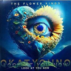 The Flower Kings - Look At You Now (2 LP) imagine