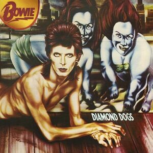 David Bowie - Diamond Dogs (50th Anniversary) (Picture Disc) (LP) imagine