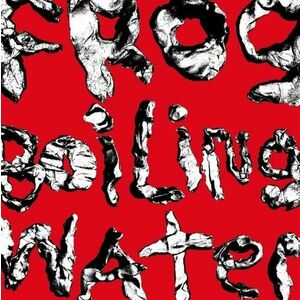 Diiv - Frog In Boiling Water (CD) imagine