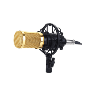 Microfon Profesional BM800 Inregistrare Vocala si Karaoke imagine