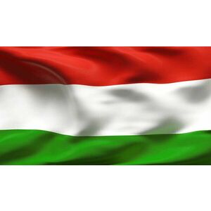 Talamex Hungary Steag național 70 x 100 cm imagine