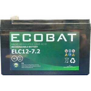 Ecobat AGM 12 V 7 Ah Acumulator imagine