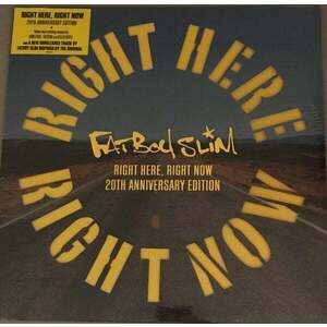 Fatboy Slim - RSD - Right Here, Right Now Remixes (LP) imagine