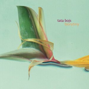 Tata Bojs - Biorytmy (2 LP) imagine