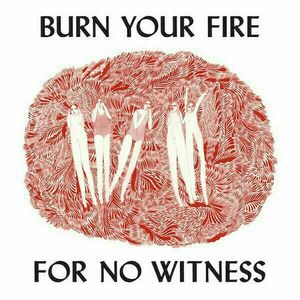 Angel Olsen - Burn Your Fire Not Your Witness (LP) imagine