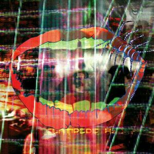 Animal Collective - Centipede HZ (2 LP) imagine