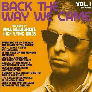 Noel Gallagher - Back The Way We Came Vol. 1 (Box Set) (4 LP + 7" Vinyl + 3 CD) imagine