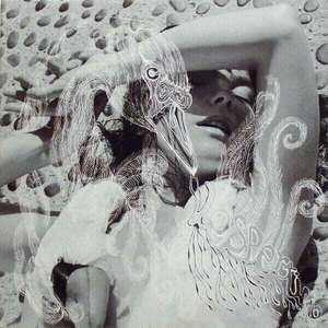 Björk - Vespertine (180g) (2 LP) imagine