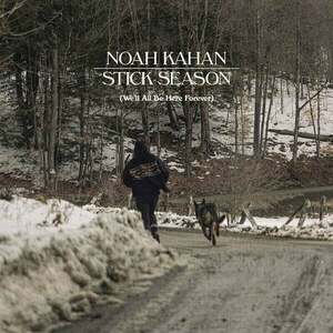 Noah Kahan - Stick Season (Black Ice Coloured) (We'll All Be Here Forever) (3 LP) imagine