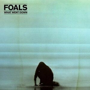 Foals - What Went Down (LP) imagine