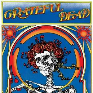 Grateful Dead - Grateful Dead (Skull & Roses) (50Th Anniversary Edition 180g Vinyl) (LP) imagine