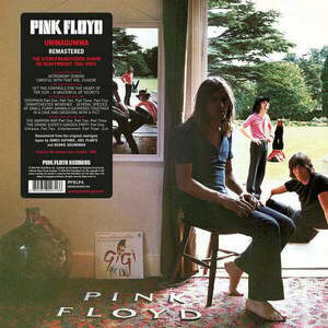 Pink Floyd - Ummagummma (2011 Remastered) (2 LP) imagine