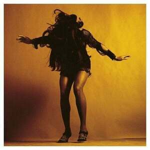 The Last Shadow Puppets - Everything You've Come To Expect (LP) imagine