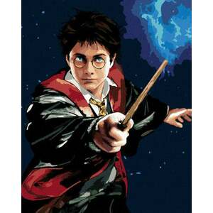 Zuty Pictură pe numere Harry Potter și bagheta imagine