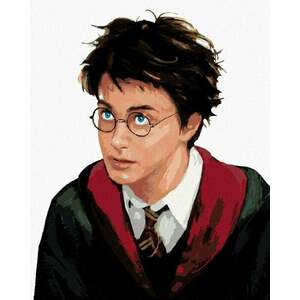 Zuty Pictură pe numere Portretul lui Harry Potter imagine