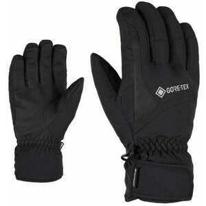 Ziener Garwen GTX Black 10 Mănuși schi imagine