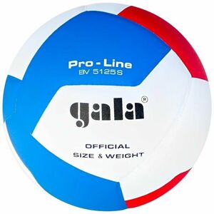 Gala Pro Line 12 Volei de interior imagine