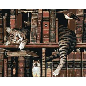 Zuty Pictura cu diamant Pisica în bibliotecă imagine