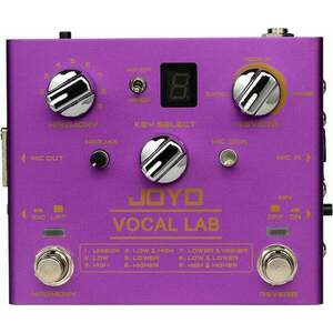 Joyo R-16 Procesor vocal imagine