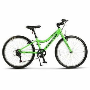 ﻿﻿Bicicleta Copii Carpat C24208C, Shimano Tourney 7 viteze, Frane V-Brake, Roti 24 inch, Verde/Negru imagine
