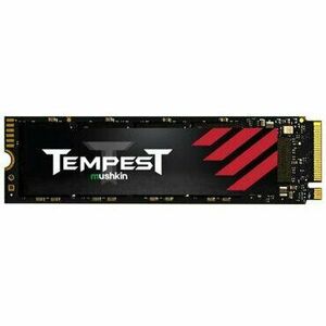 Tempest - SSD - 256 GB - PCIe 3.0 x4 (NVMe) imagine