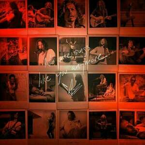 Chris Cornell - No One Sings Like You (LP) imagine