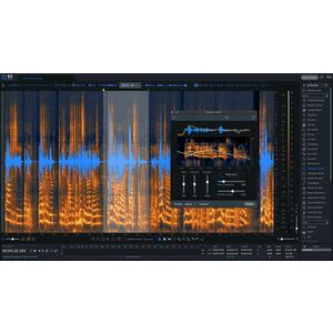iZotope RX 11 ADV: UPG from any RX ADV or RX PPS (Produs digital) imagine