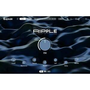 Capsule Audio Ripple (Produs digital) imagine