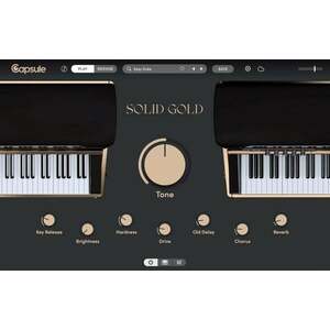 Capsule Audio Solid Gold (Produs digital) imagine