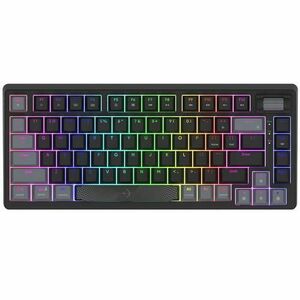 Tastatura Gaming Mecanica AQIRYS Adara Mini, iluminare RGB, Cu fir, Switch HaiMu Pink, Layout US (Negru) imagine