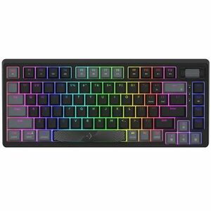 Tastatura Gaming Mecanica AQIRYS Adara Mini LE, iluminare RGB, Cu fir, Switch HaiMu Ocean Blue, Layout US (Negru) imagine