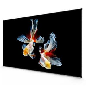 Ecran proiectie Vava 83-20000-030, Ambient Light Rejecting (ALR), 100”, 4K, Laser TV, 223x126cm, 16: 9 imagine