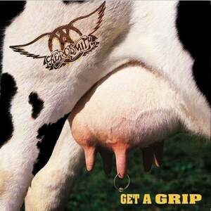 Aerosmith - Get A Grip (2 LP) imagine