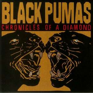 Black Pumas - Chronicles Of A Diamond (Limited Edition) (Red Transparent) (LP) imagine