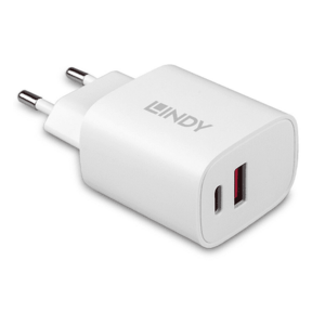 Incarcator retea Lindy LY-73413, 1 x USB-C, 1x USB Type-A, 20W imagine