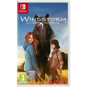 Joc Windstorm an Unexpected Arrival pentru Nintendo Switch (CIAB) imagine